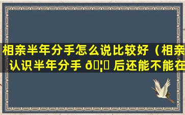 相亲半年分手怎么说比较好（相亲认识半年分手 🦁 后还能不能在 🍀 一起）